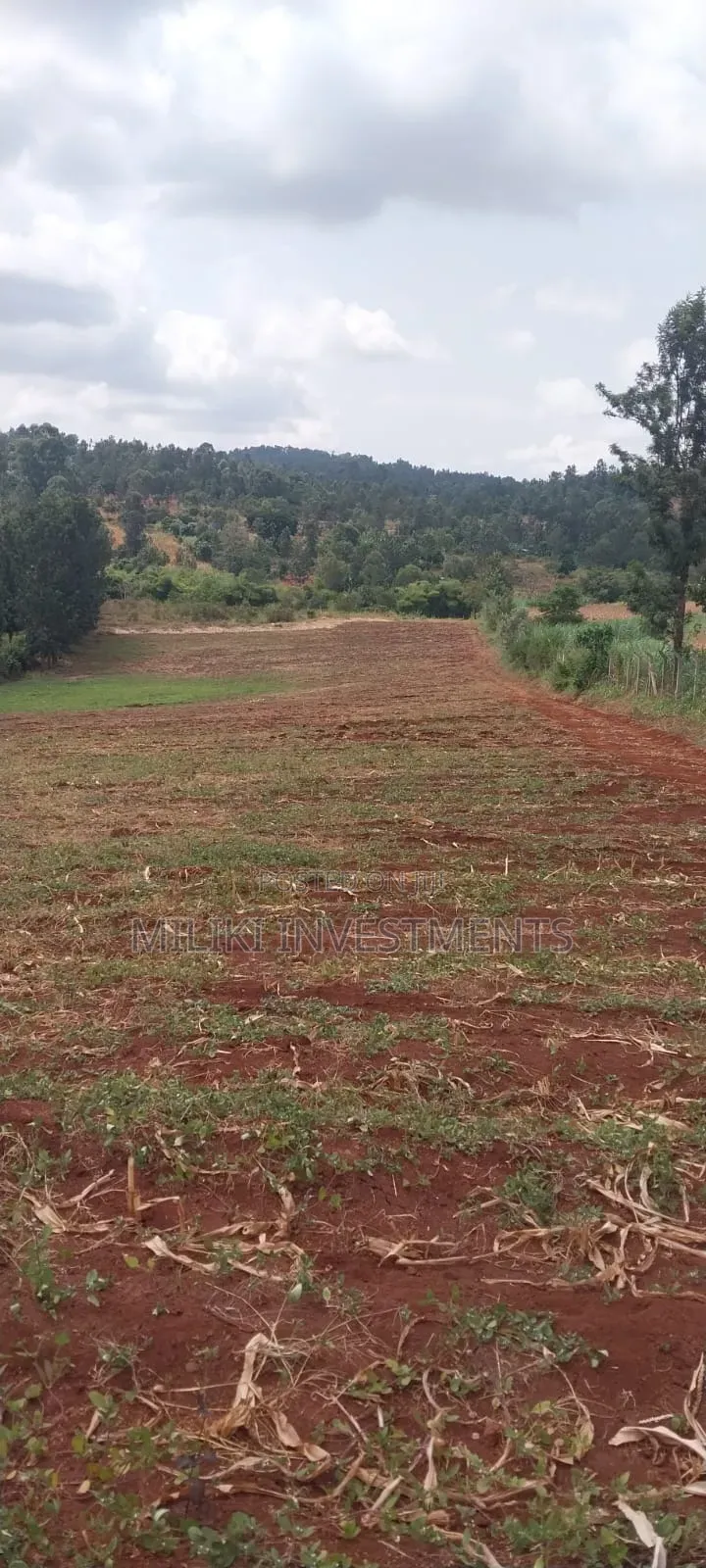 5 Acres on Sale at Maragua-Samar Area