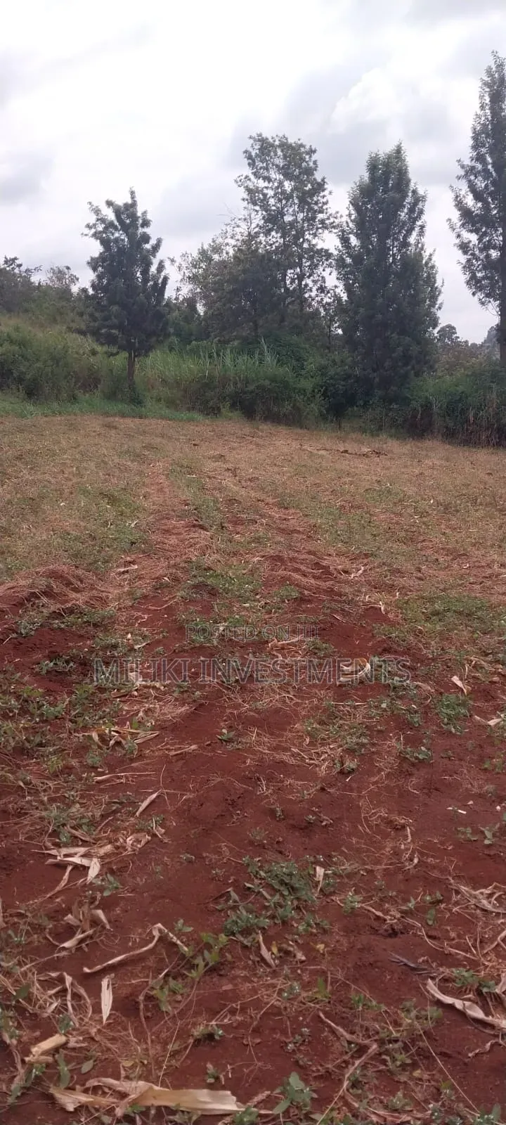 5 Acres on Sale at Maragua-Samar Area