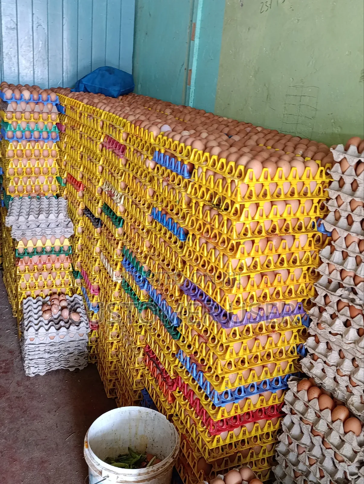 Eggs Tray 430/-