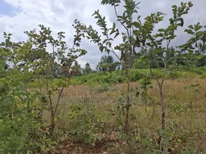 7 Acres on Sale at Kirinyaga,-Kianjiru