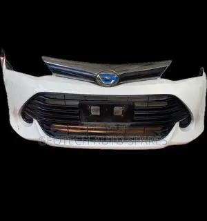 Fielder / Axio 165 Bumper Grill