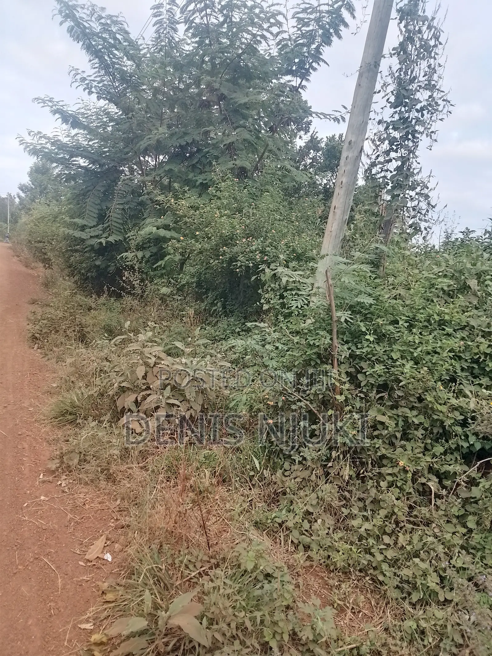 Land for Leasing Up to 30 Years Size