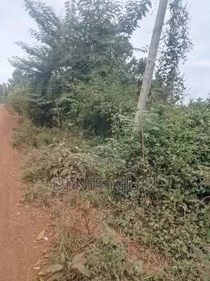Land for Leasing Up to 30 Years Size
