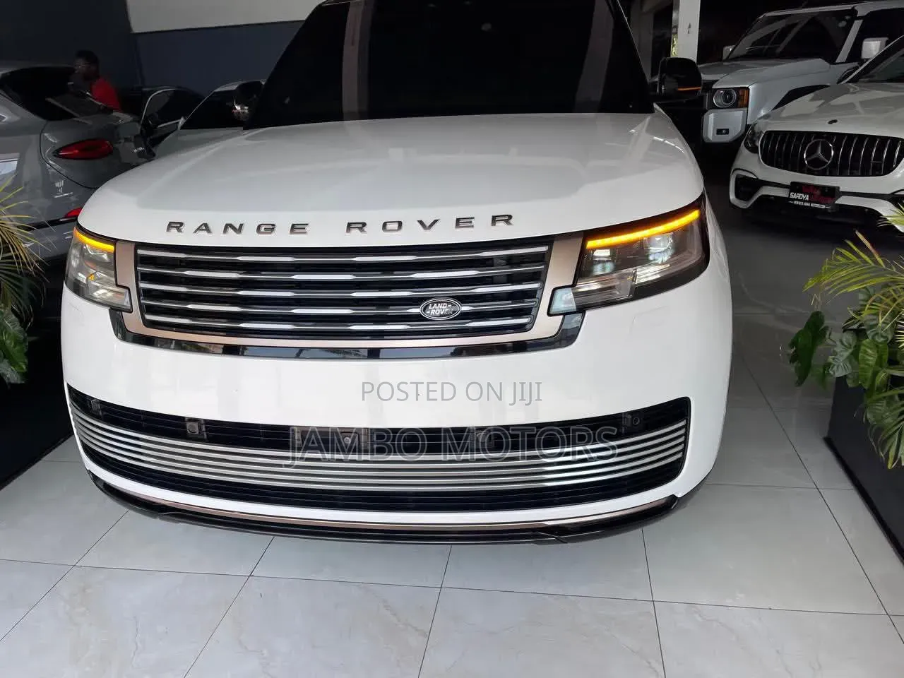Rover Land 2024 White