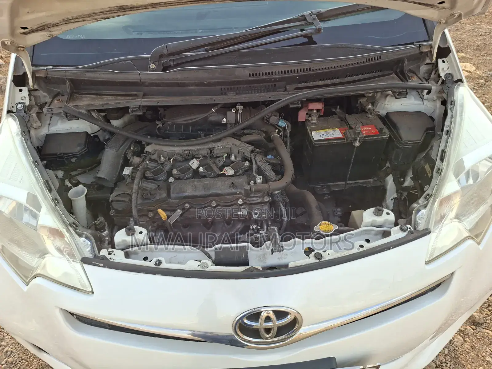 Toyota Ractis 2012 Pearl