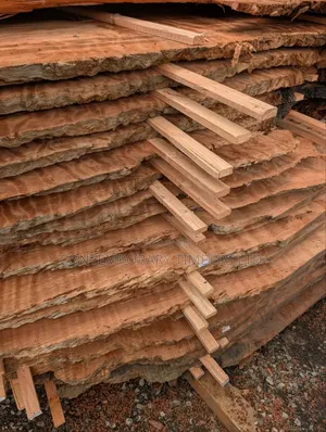 Repair of All Wooden Surfaces