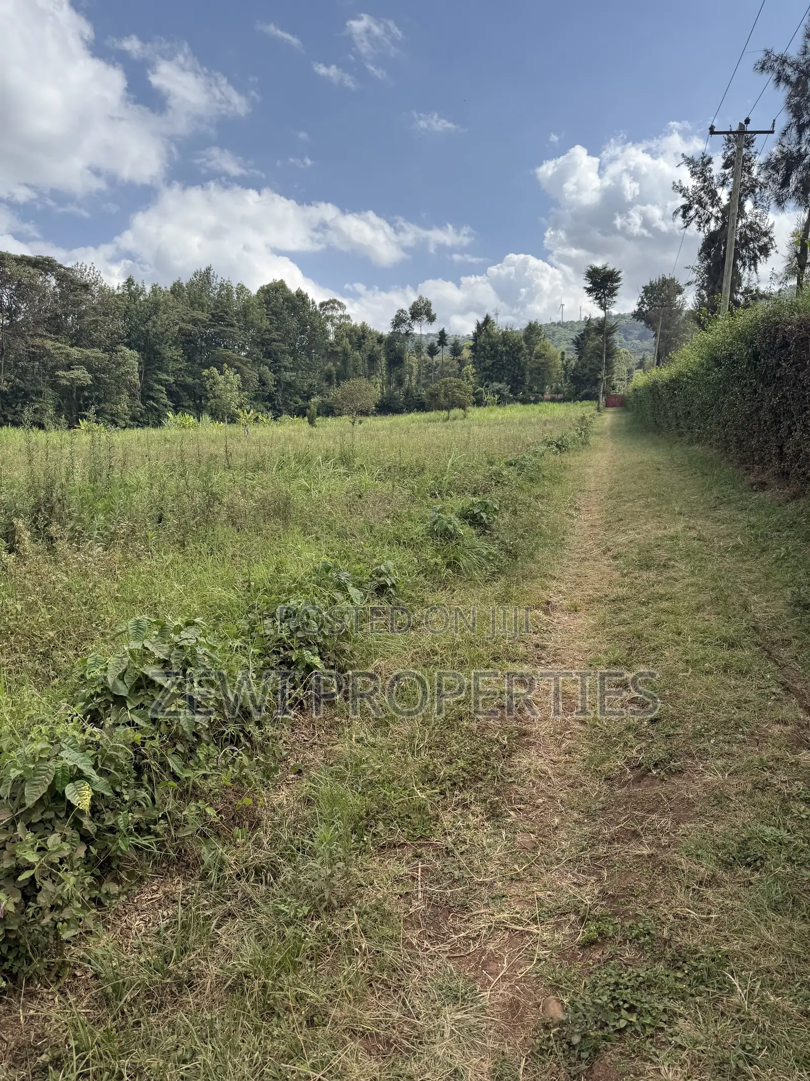 Quarter Acre Bondeni