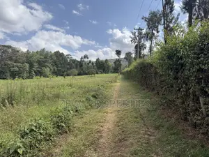 Quarter Acre Bondeni