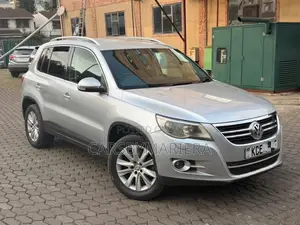 Volkswagen Tiguan 2010 Silver