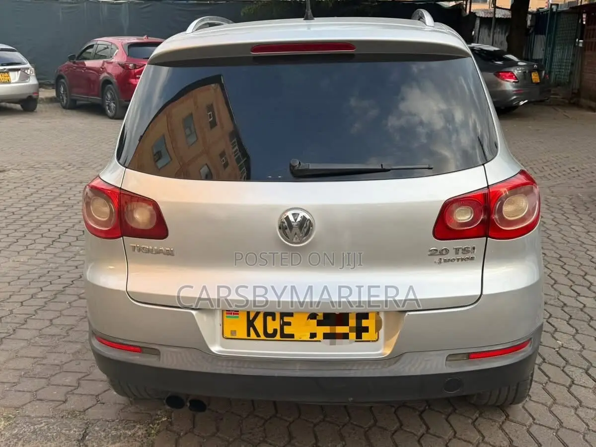 Volkswagen Tiguan 2010 Silver