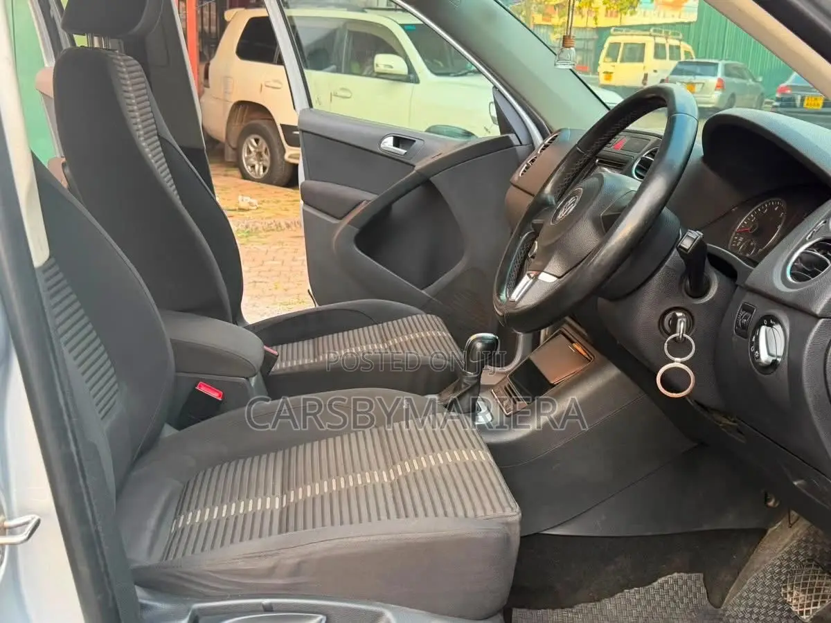 Volkswagen Tiguan 2010 Silver
