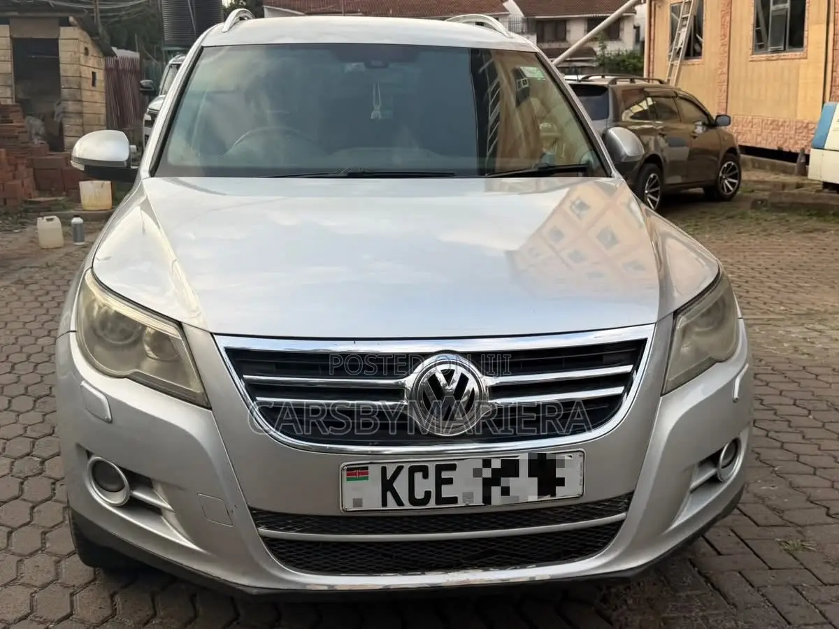 Volkswagen Tiguan 2010 Silver