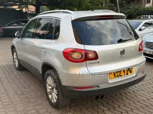 Volkswagen Tiguan 2010 Silver
