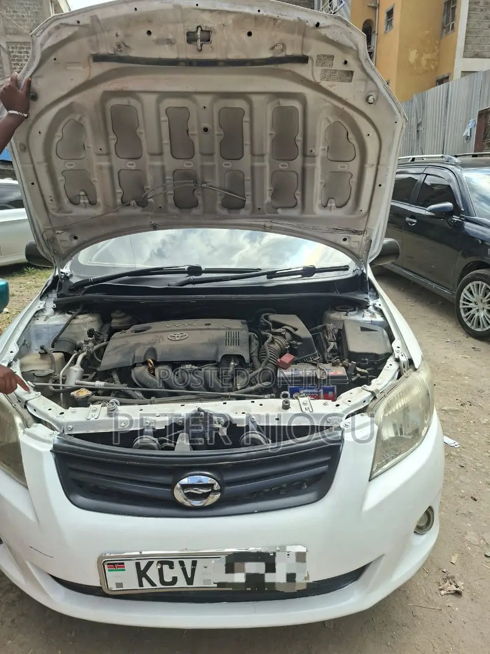 Toyota Corolla Fielder 2013 White