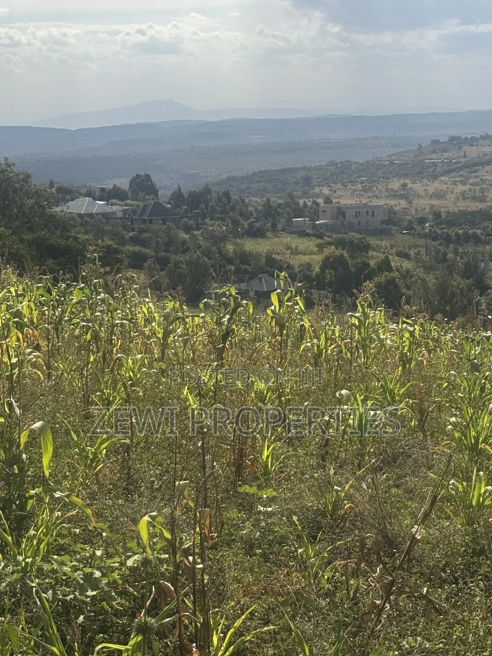 Two Acres Kibiku