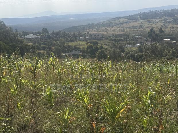Two Acres Kibiku