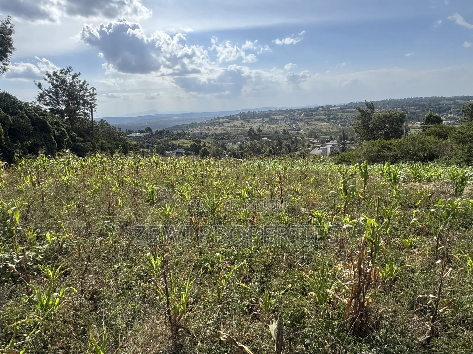 Two Acres Kibiku
