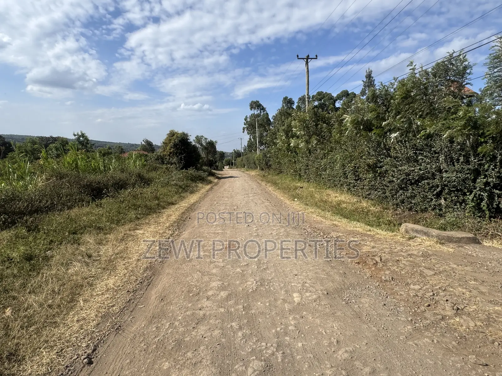 Two Acres Kibiku