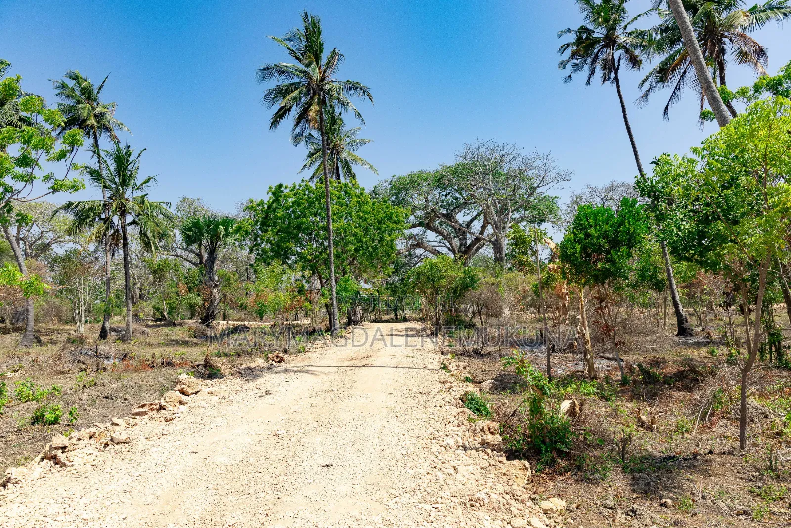 Step by Step of Owning a Piece of Diani.