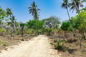 Step by Step of Owning a Piece of Diani.