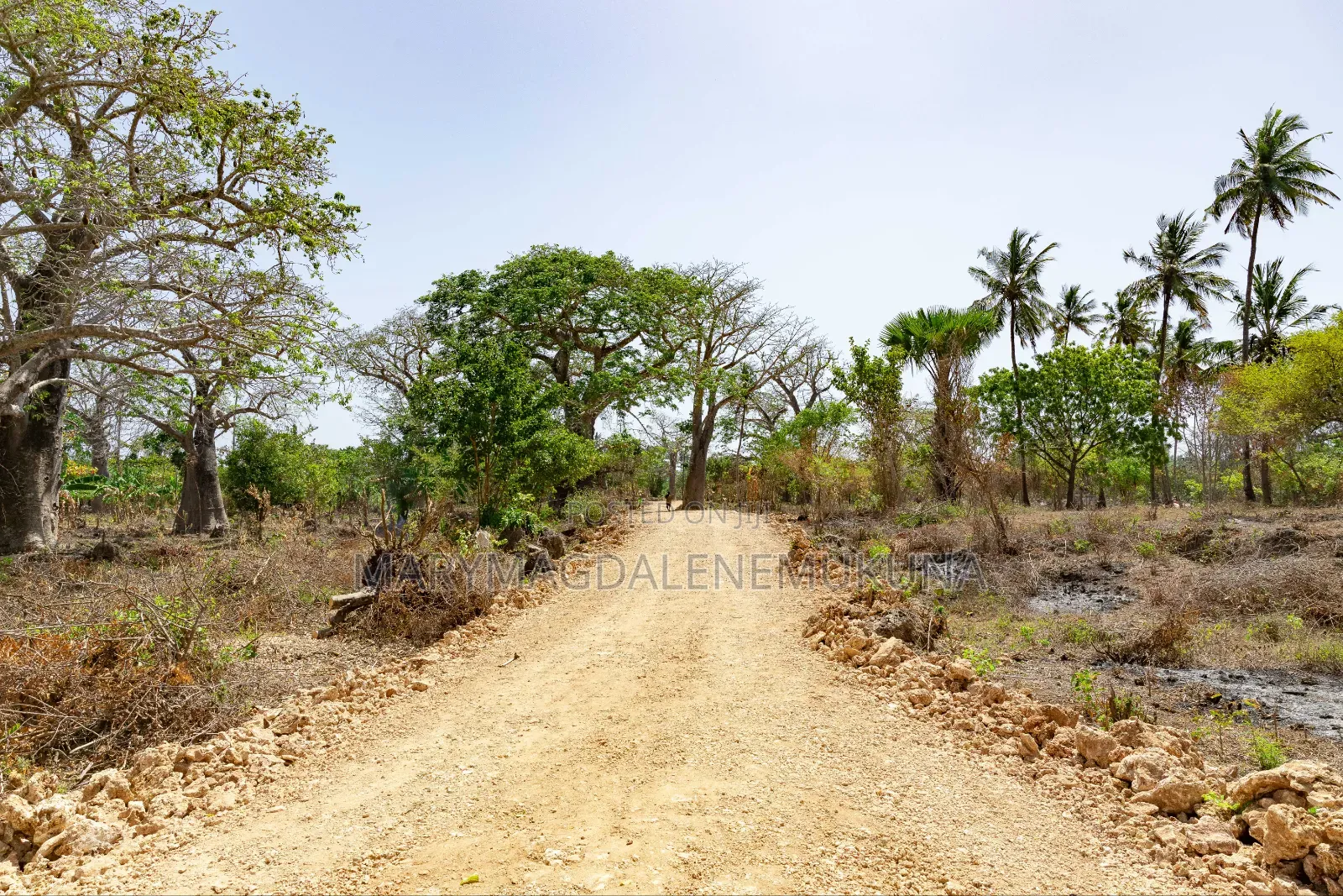 Step by Step of Owning a Piece of Diani.