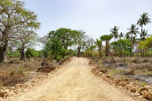 Step by Step of Owning a Piece of Diani.