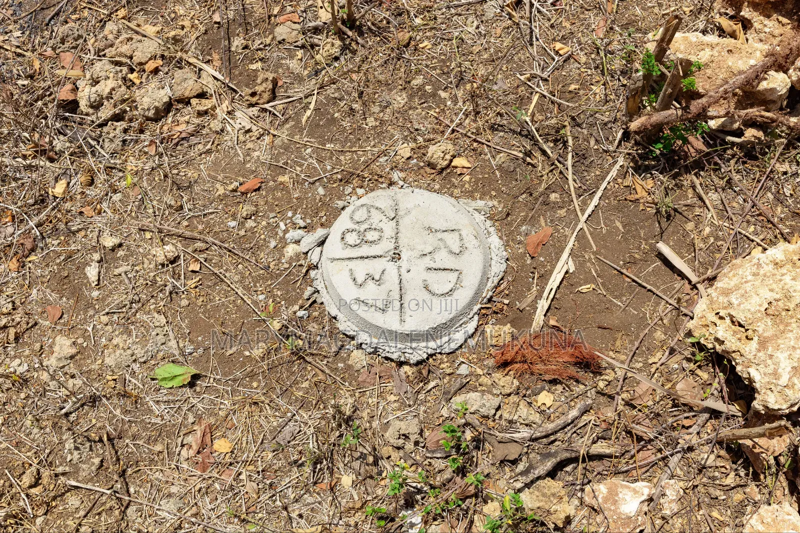 Step by Step of Owning a Piece of Diani.
