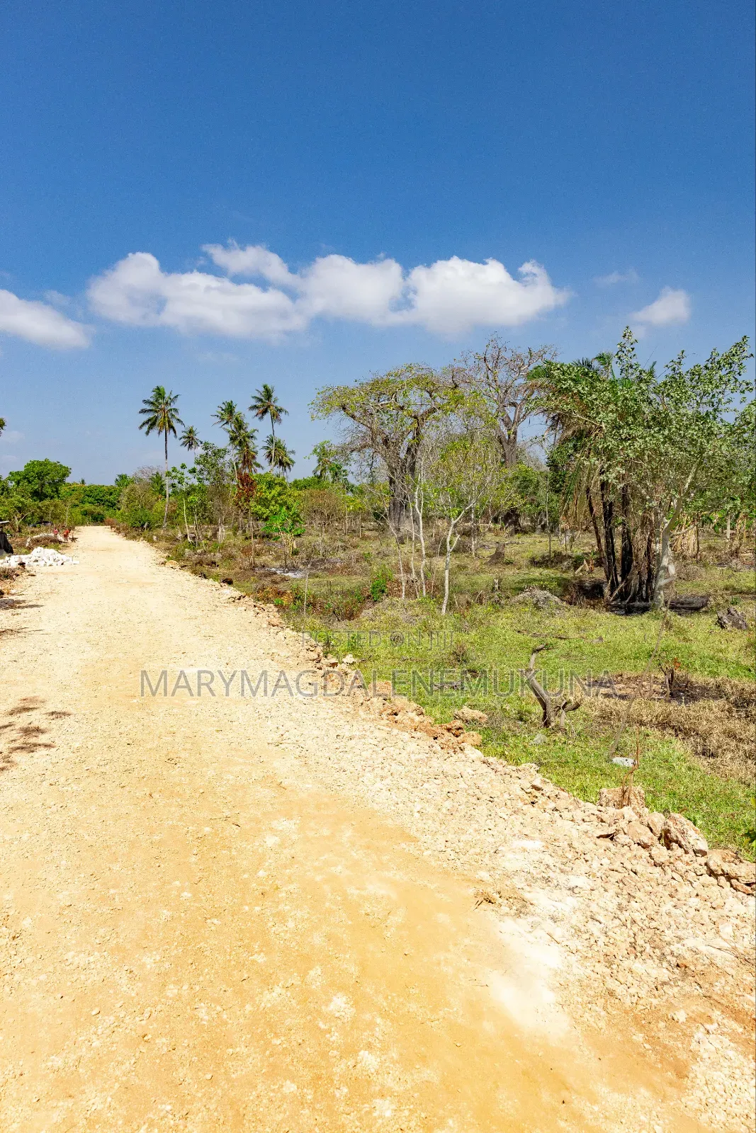 Step by Step of Owning a Piece of Diani.