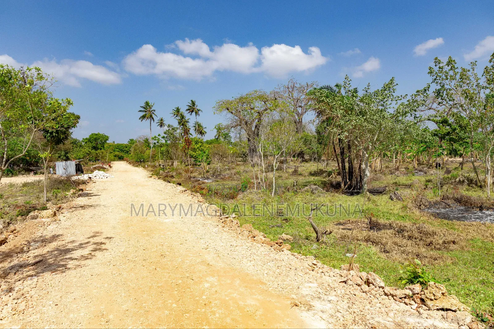 Step by Step of Owning a Piece of Diani.