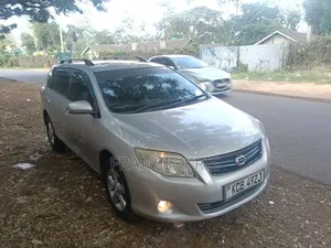 Toyota Corolla Fielder 2008 Silver