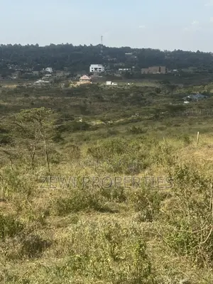 6 Acres Kibiku