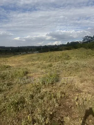 6 Acres Kibiku