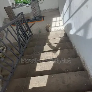 Professional Tiler