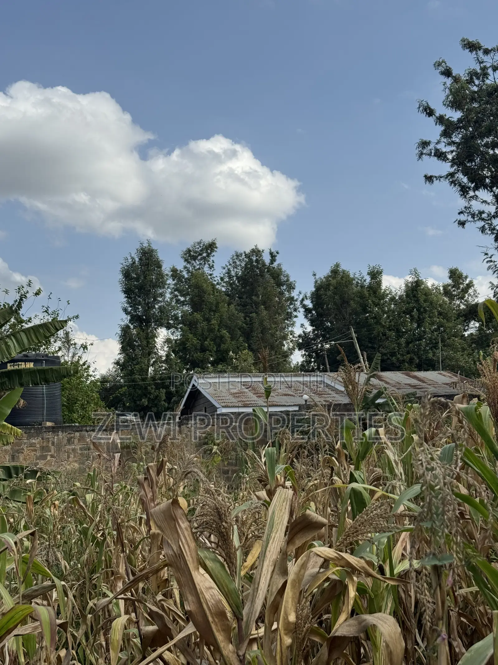 One Acre Olepolos
