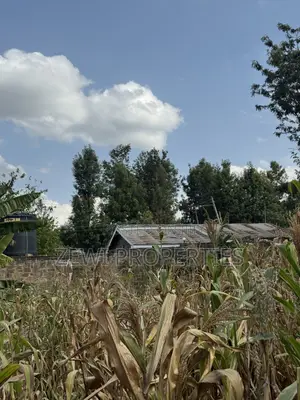 One Acre Olepolos