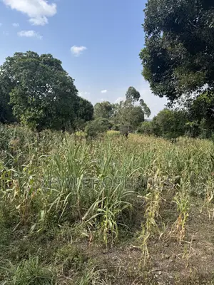 One Acre Olepolos