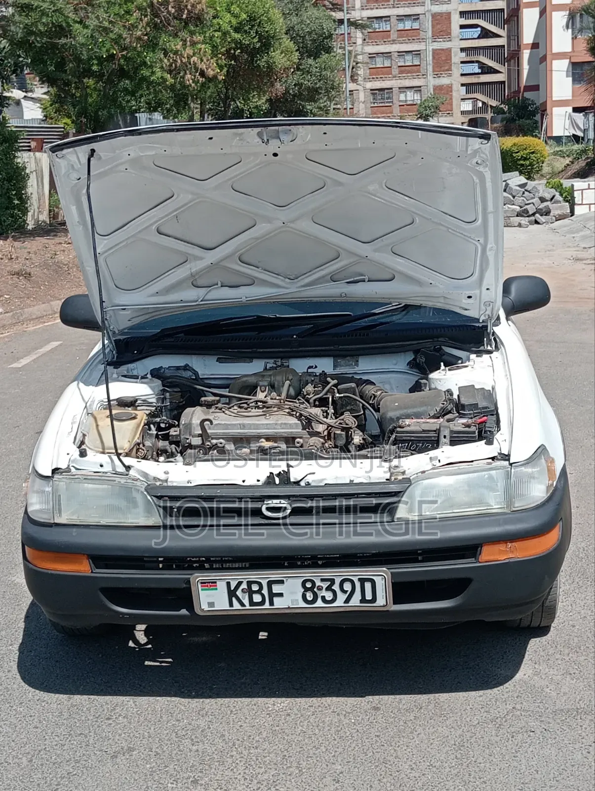 Toyota Corolla 2003 White