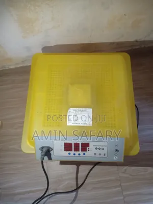 Egg Incubator