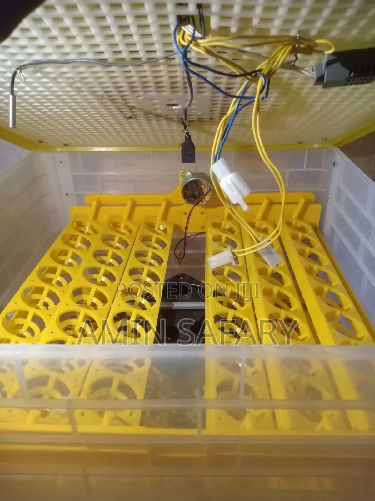 Egg Incubator