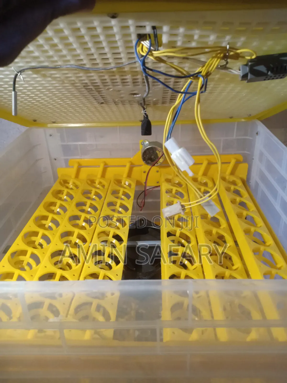 Egg Incubator