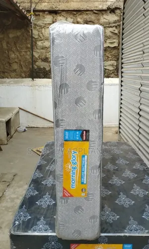 4×6 10 Inch Plain Morning Glory Superfoam Mattress