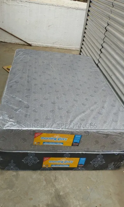 4×6 10 Inch Plain Morning Glory Superfoam Mattress