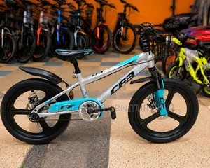 Cf 20 Inch Kids Bicycle With Front Suspension, Disc Brakes Basket
