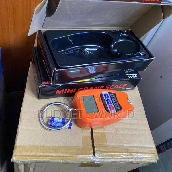 Professional 200kg Crane Scale – Portable Digital Weighing Scale
