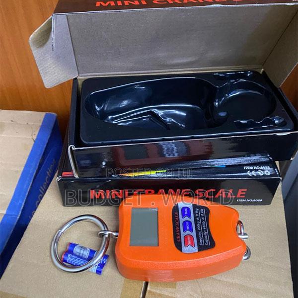 Compact 200kg Mini Crane Scale – Multi-Purpose Digital Weight Scale - main view