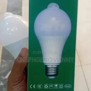 Motion Sensor Bulb