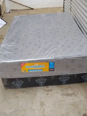 Morning Glory 10-Inch Plain Foam Mattress 4x6 Size
