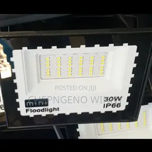 Mini Floodlight 30watts