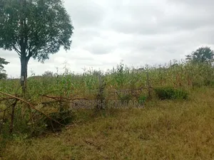 Half of an Acre
