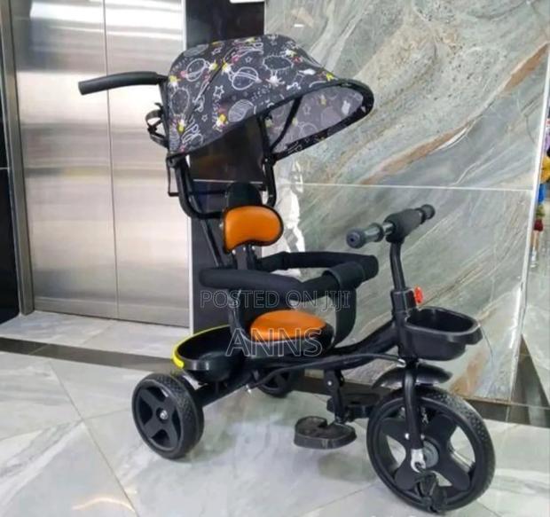 Tricycle With Canopy And Handle